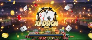 Xì dách được lựa chọn bởi đông đảo bet thủ hiện nay